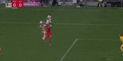 1725213494198411.gif 2.gif