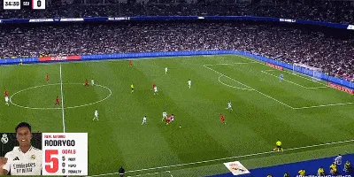 1734887958921155.gif 5.gif