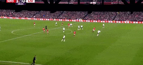 1736907908346958.gif 2.gif