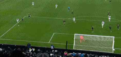 1739320704859621.gif 4.gif